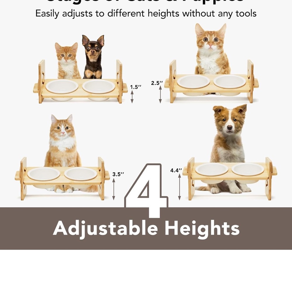 Elevated pet bowls for cats and small dog